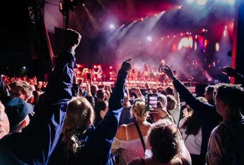 Crowd enjoying gig